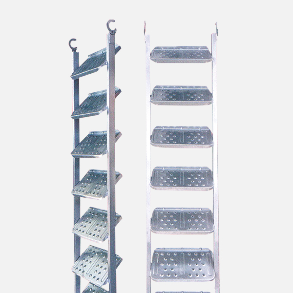 Scaffolding  Ladder